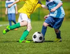 大湾区农业,先锋,冷能创新推,宝威体育官网,APP下载,注册领彩金,官方网站,网站入口