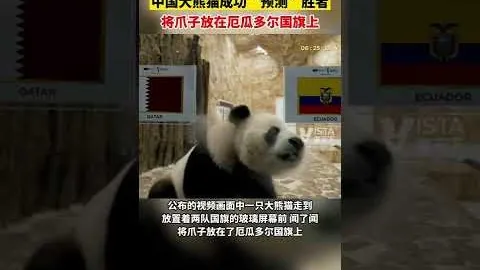 “广州队解散真相：高额转会与潜规则并存，探析中国足球难题”